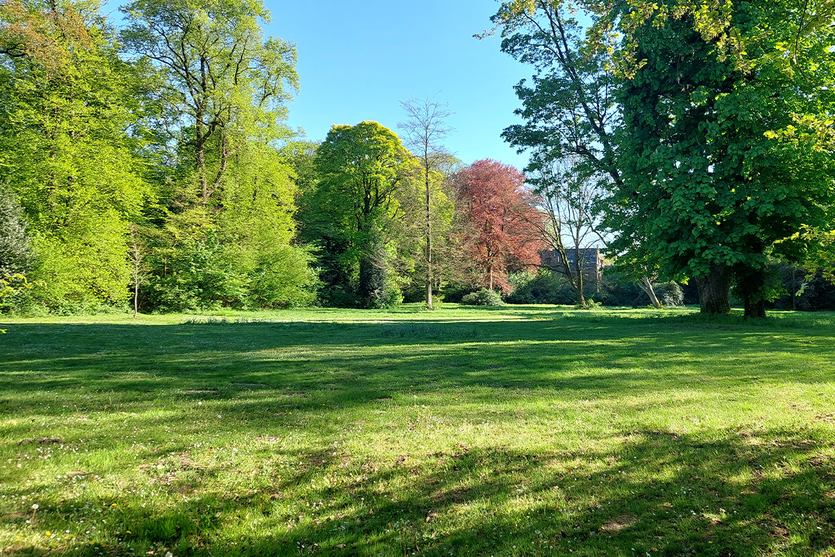 Wätjens Park - Mai 206